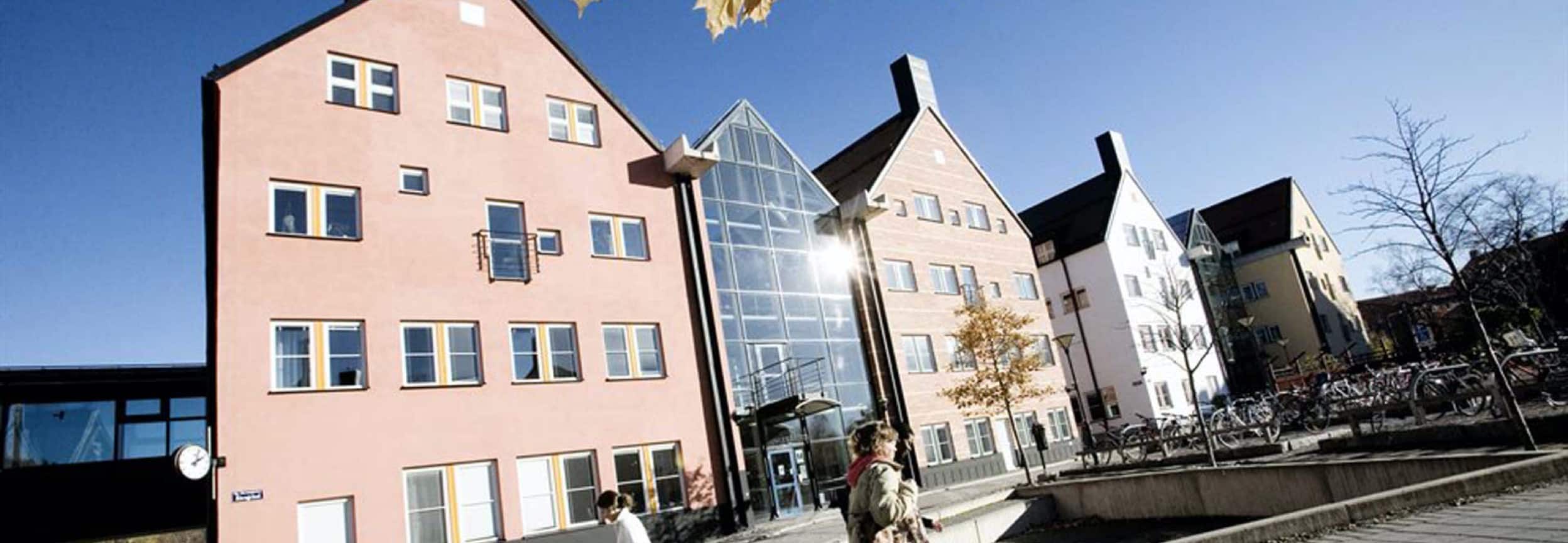 img_academic_client_sundsvall_1248_@2x Retendo – Customers – Mid Sweden University